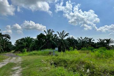 Cheap Agriculture land for Sale @ Telok Panglima Garang, Klang