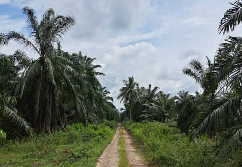 Sungai Sedu @ Tanjung Dua Belas