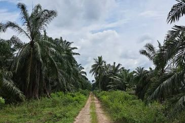 Sungai Sedu @ Tanjung Dua Belas