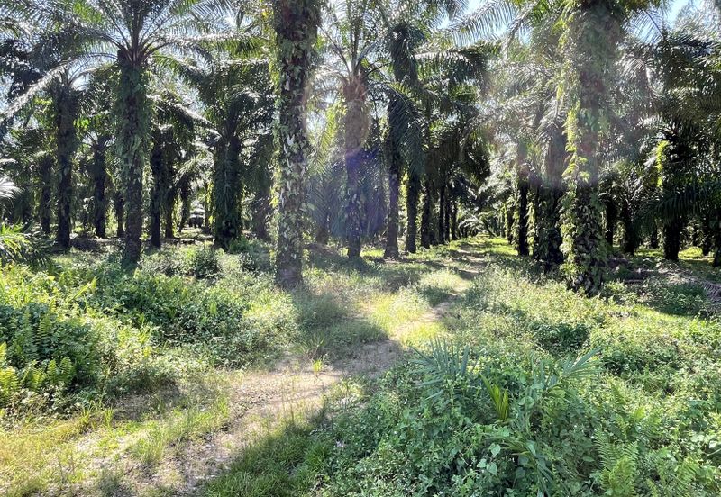 Kawasan Perindustrian Nilai