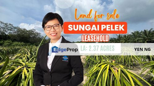 CHEAP Agricultural Land (Under Industrial Zoning) For Sale in Sungai Pelek, Sepang, Selangor, Sepang