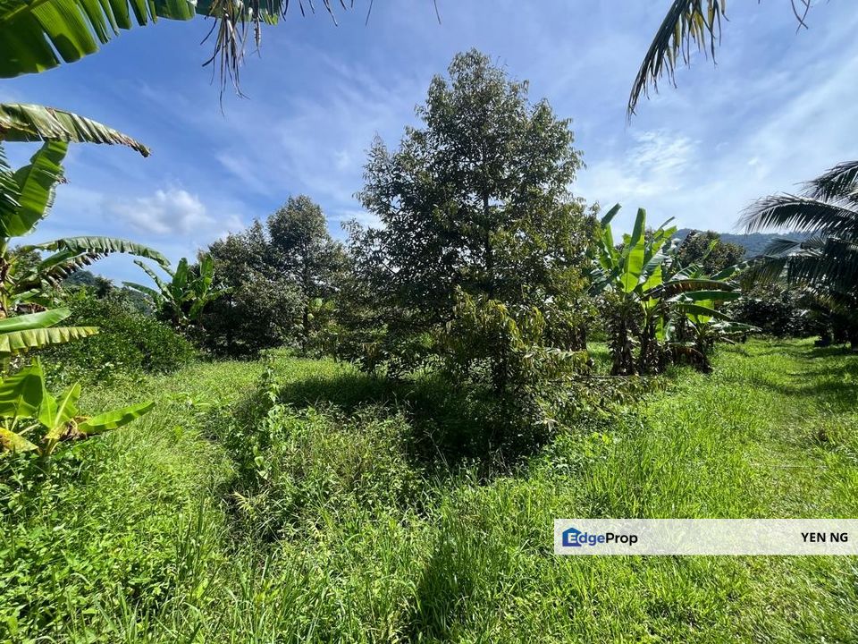 Cheap Agricultural Land For Sale at Lenggeng, Seremban, Negeri Sembilan, Negeri Sembilan, Seremban