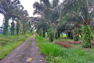 Cheapest Industrial Zoning Land For Sale in Sepang 