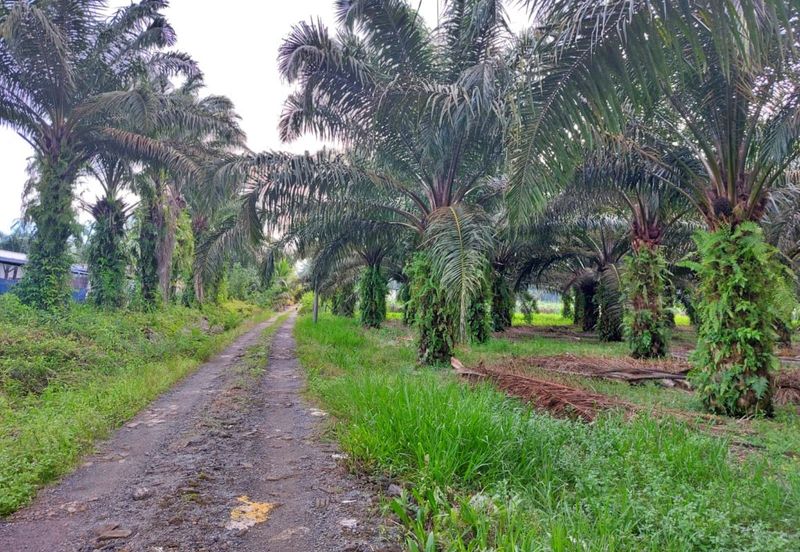 Cheapest Industrial Zoning Land For Sale in Sepang 