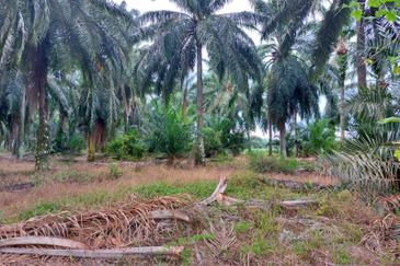 Cheapest Industrial Zoning Land For Sale in Sepang 