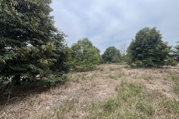 Taman Tasik Semenyih