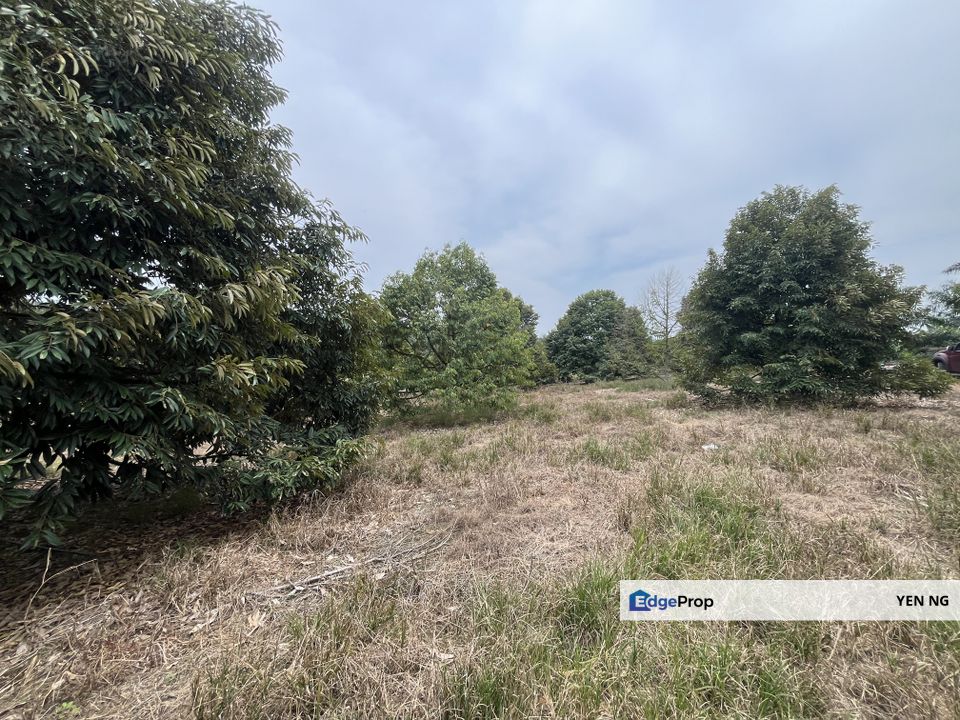 Cheap Agricultural Land For Sale @ Semenyih, Kajang, Selangor, Selangor, Semenyih