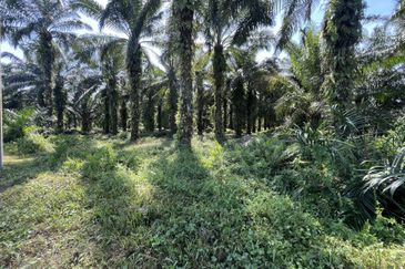 Taman Tasik Semenyih