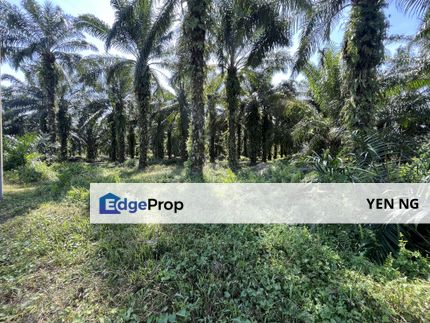 Cheap Agricultural Land For Sale @ Semenyih, Kajang, Selangor, Selangor, Semenyih