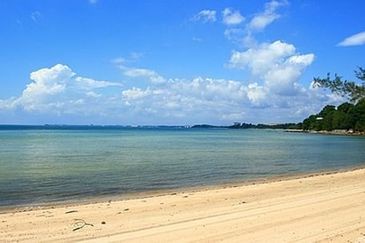 Port Dickson Agricultural Land For Sale - Ideal For Home Stay Villa Development
