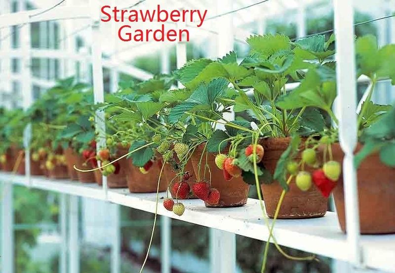 Jalan Besar, Tanah Rata