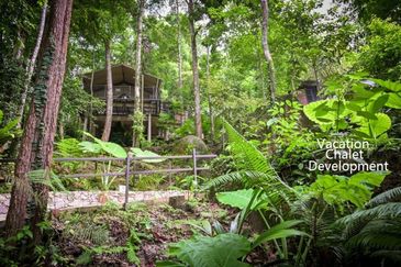 Batu Ferringhi Residential Land 6 Acre For Sale - Ideal For Horizontal Slopes Landed Vacation Chalets Development.