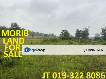 Morib Agricultural Land For Sale, Selangor, Banting