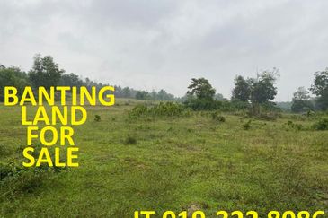 Banting Agricultural Land 170 Acres For Sale