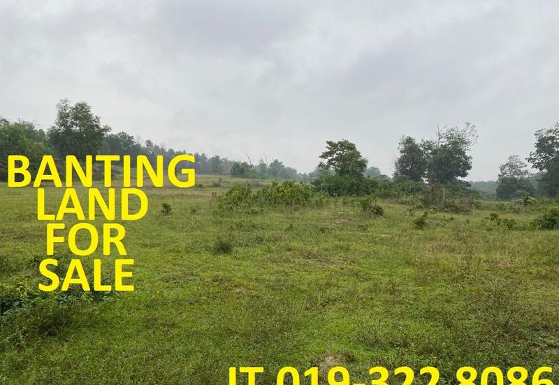 Banting Agricultural Land 170 Acres For Sale
