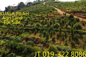 Kuala Pilah Driving To Johol Agri Land 125 Acres For Sale