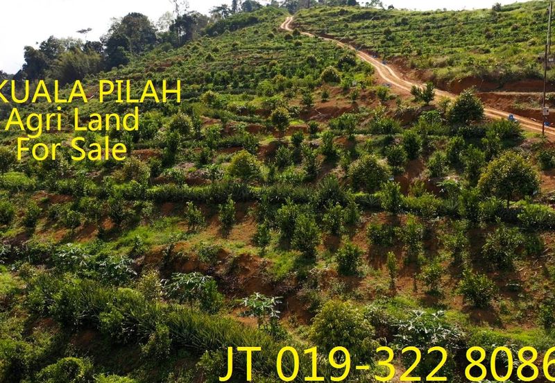 Kuala Pilah Driving To Johol Agri Land 125 Acres For Sale