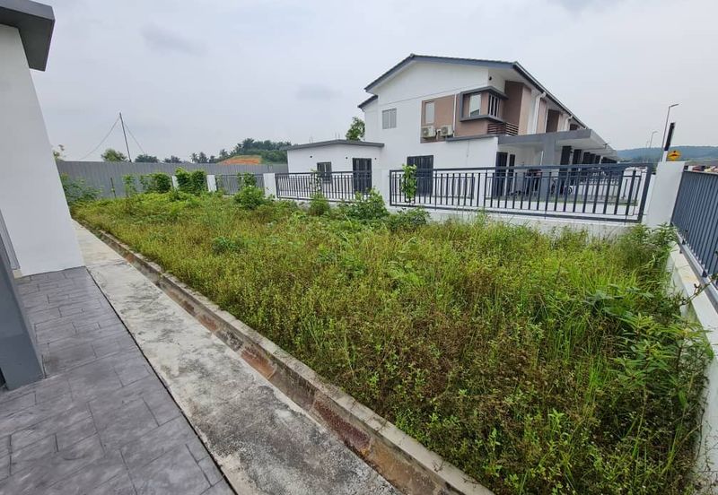 Halya @ Daunan Worldwide