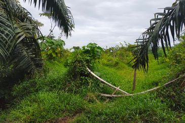 Freehold Land Telok Panglima Garang Klang Selangor For Sale