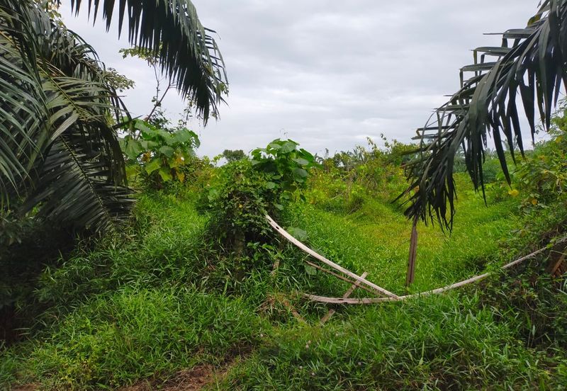 Freehold Land Telok Panglima Garang Klang Selangor For Sale