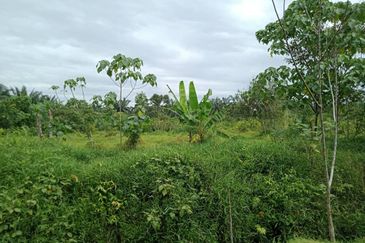 Freehold Land Telok Panglima Garang Klang Selangor For Sale