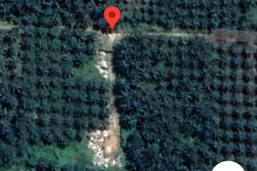 Freehold Land Telok Panglima Garang Klang Selangor For Sale