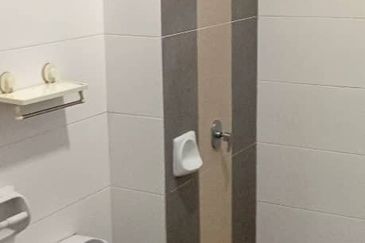 Saffron Hills @ Denai Alam