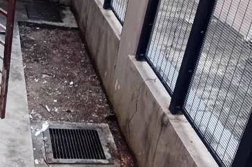 Saffron Hills @ Denai Alam