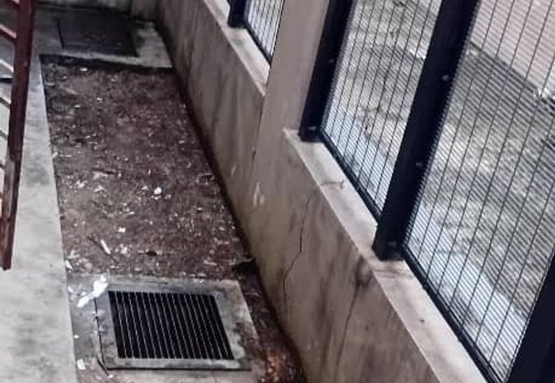 Saffron Hills @ Denai Alam