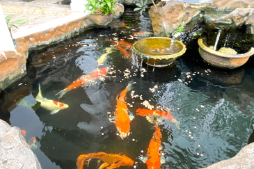 Tropicana Golf & Country Resort