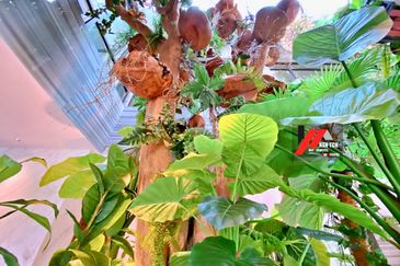 Tropicana Golf & Country Resort