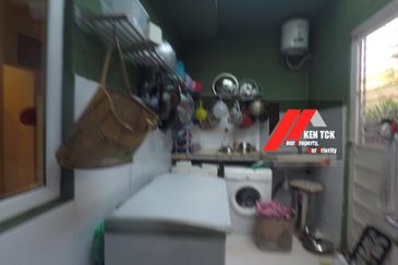 Rafflesia @ The Hill