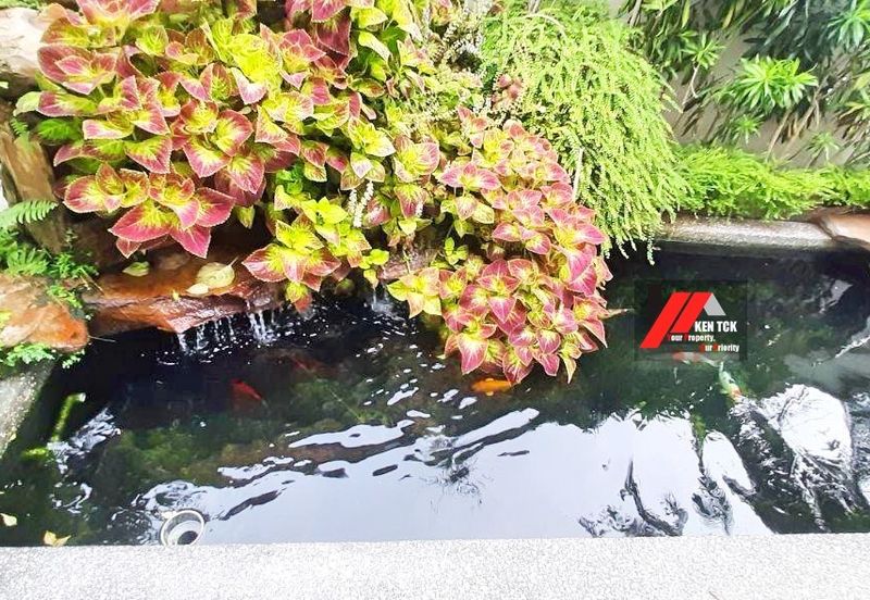 Rafflesia @ The Hill