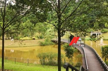 Rafflesia @ The Hill