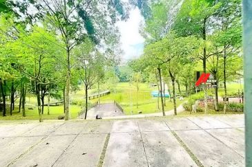 Rafflesia @ The Hill