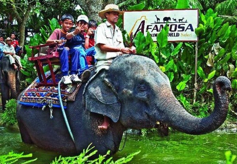 Afamosa Resorts ALor Gajah Melaka 5995sf Bungalow Land Homestay Flat Land Homestay Retirement 