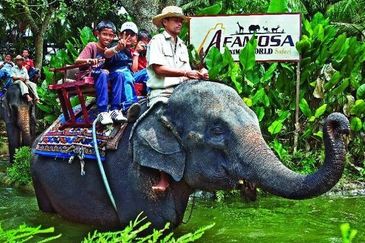 Afamosa Resorts ALor Gajah Melaka 5995sf Bungalow Land Homestay Flat Land Homestay Retirement 