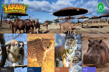 Afamosa Resorts ALor Gajah Melaka 5995sf Bungalow Land Homestay Flat Land Homestay Retirement 