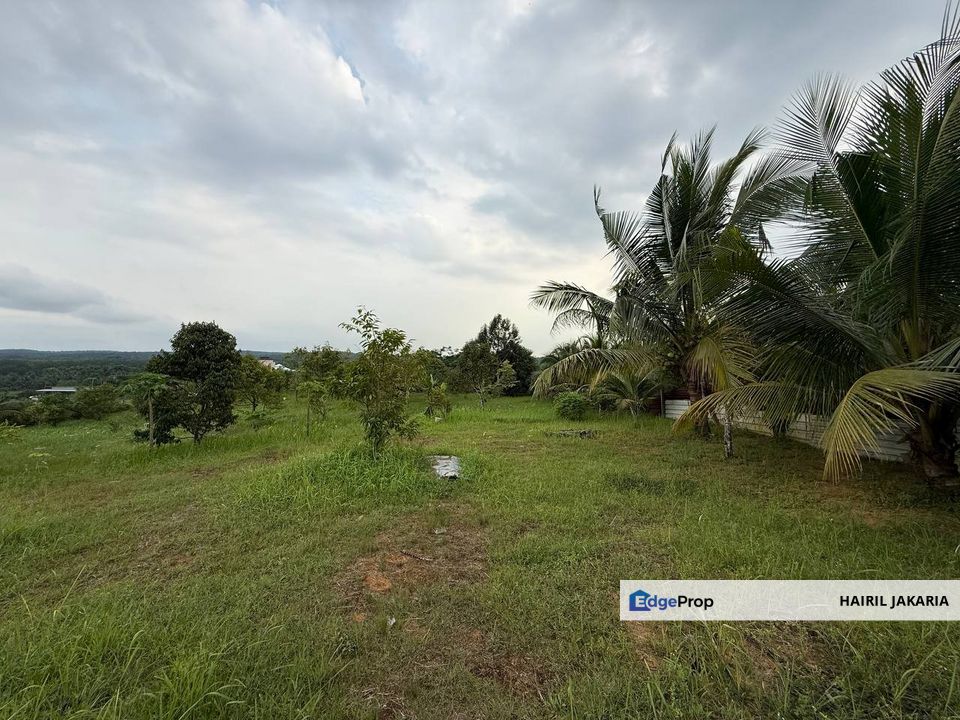 Dusun Buah, Sungai Tiram, Kampung Dagang, Johor, Ulu Tiram