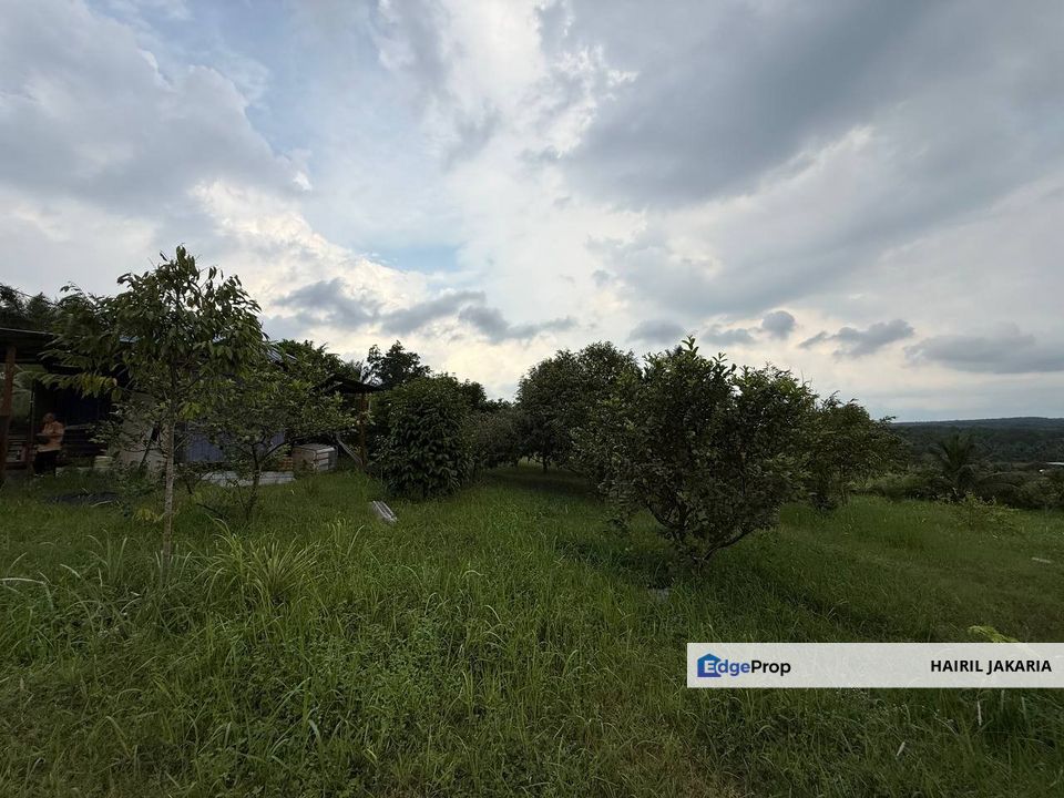 Dusun Buah, Sungai Tiram, Kampung Dagang, Johor, Ulu Tiram