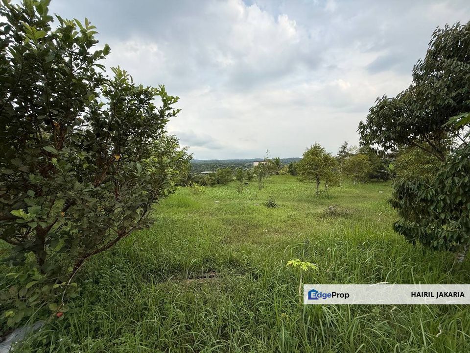 Dusun Buah, Sungai Tiram, Kampung Dagang, Johor, Ulu Tiram
