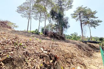 Bandar Baru Salak Tinggi
