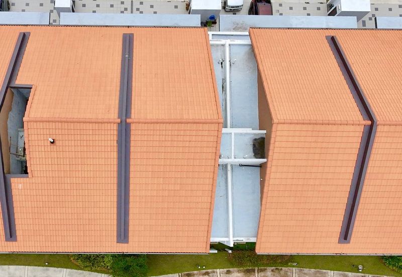 Setia Warisan Tropika (Belladonna)