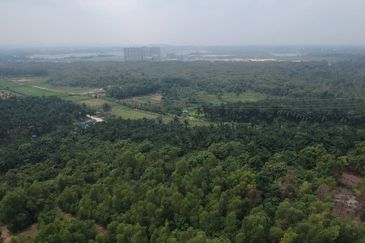Bukit Damar