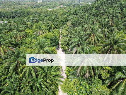 Commercial Land Bukit Damar Selangor For Sale , Selangor, Dengkil