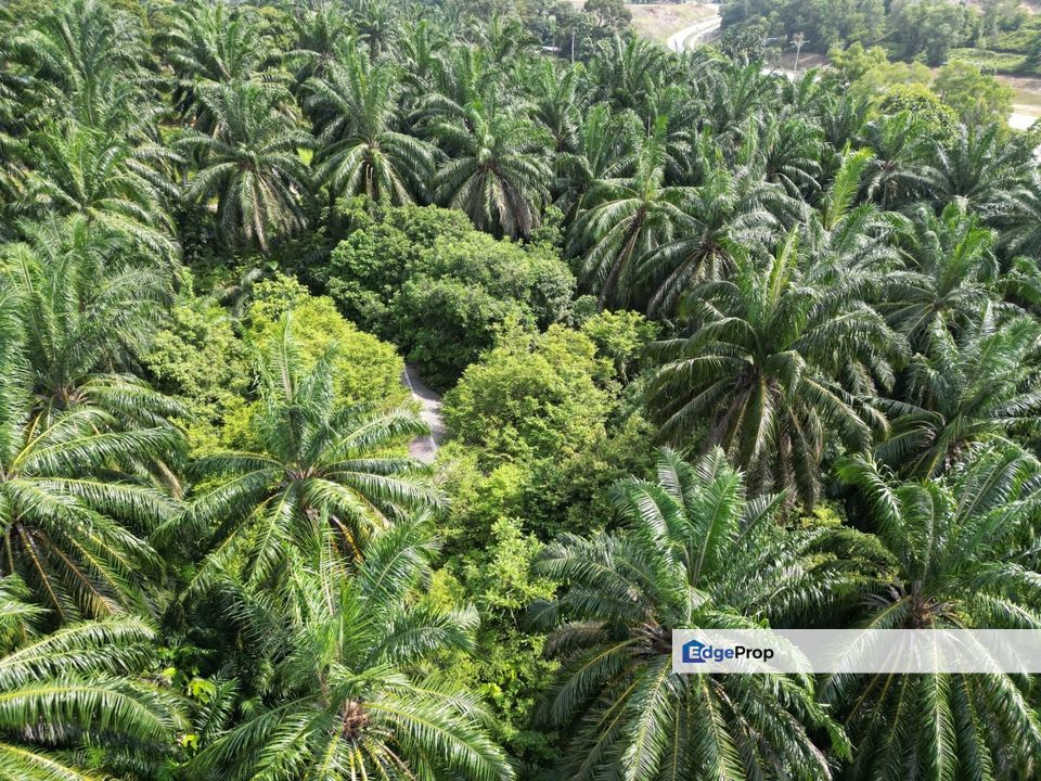 Commercial Land Bukit Damar Selangor For Sale , Selangor, Dengkil