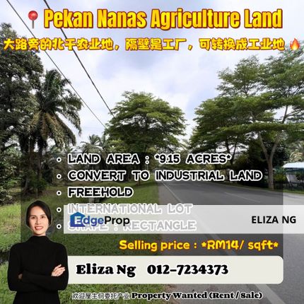 Pekan Nanas Agriculture Land 9 ekar Beside main road for sale , Johor, Pontian