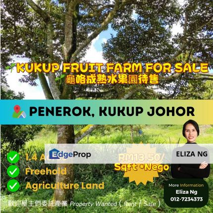 Johor Kukup Penerok1.4 Arce Fruits Farm Agriculture land for Sale, Johor, Pontian
