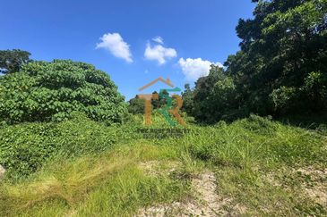 Medium Industrial Land Bukit Mor, Muar For Sale