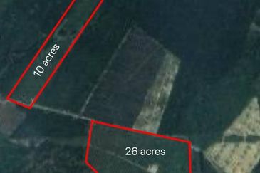 Agriculture Land 36 acres Durian Farm (Musang King & Black Thorn) For Sale, Jasin, Melaka